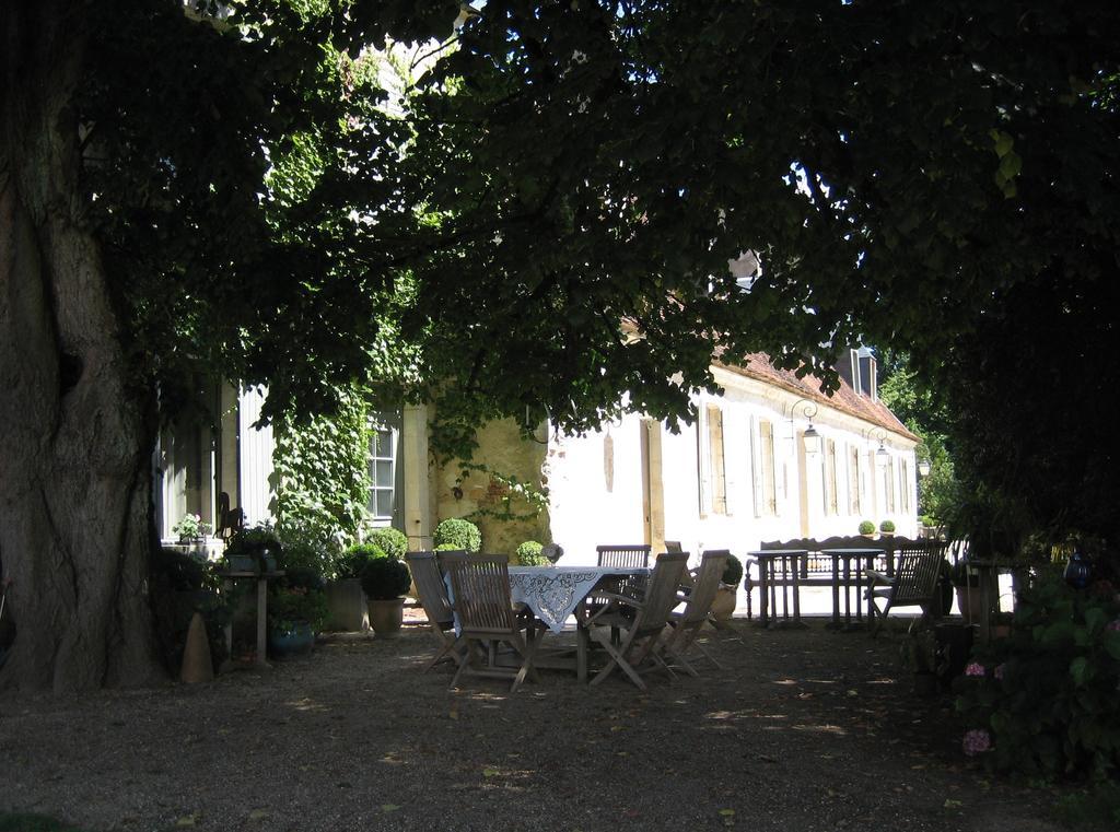 圣乔治城堡酒店 Saint-Georges-sur-Moulon 外观 照片
